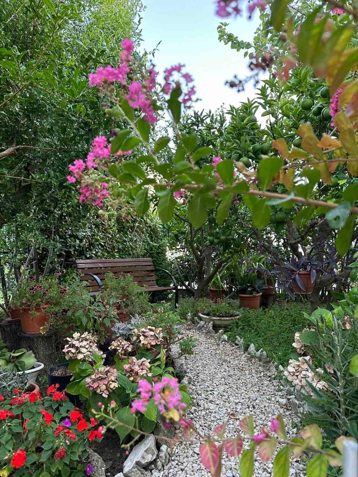 Apartman Branka Rab Town Dış mekan fotoğraf
