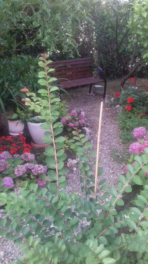 Apartman Branka Rab Town Dış mekan fotoğraf